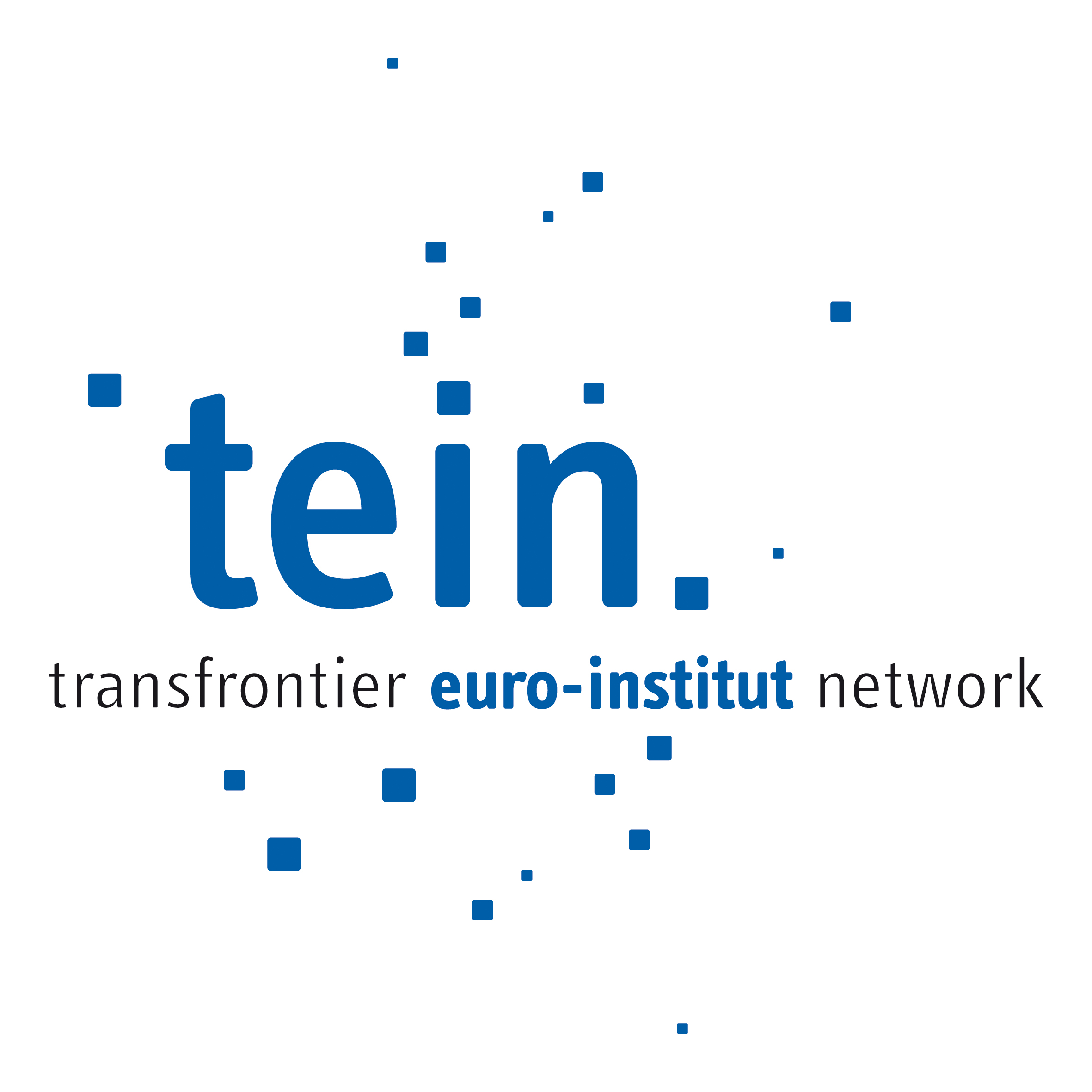 TEIN transfrontier euro-institut network
